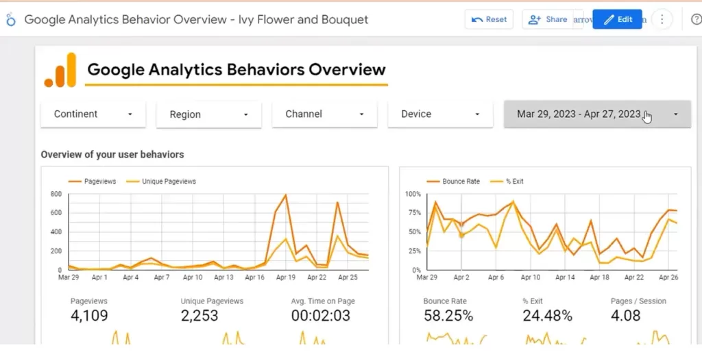 Google Analytics ReportIvy