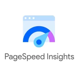 PageSpeed Insights